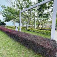 賞花攻略 大埔海濱公園