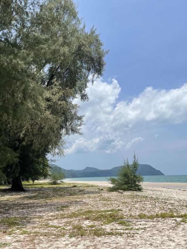 อุทยานแห่งชาติตะรุเตา
