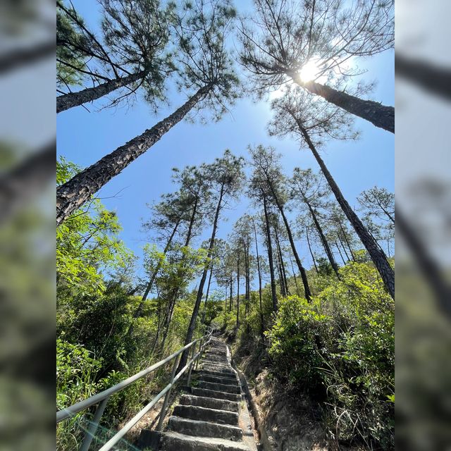 彩虹🌈欄杆X藍地水塘