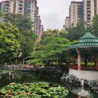 行到腳軟既荔枝角公園