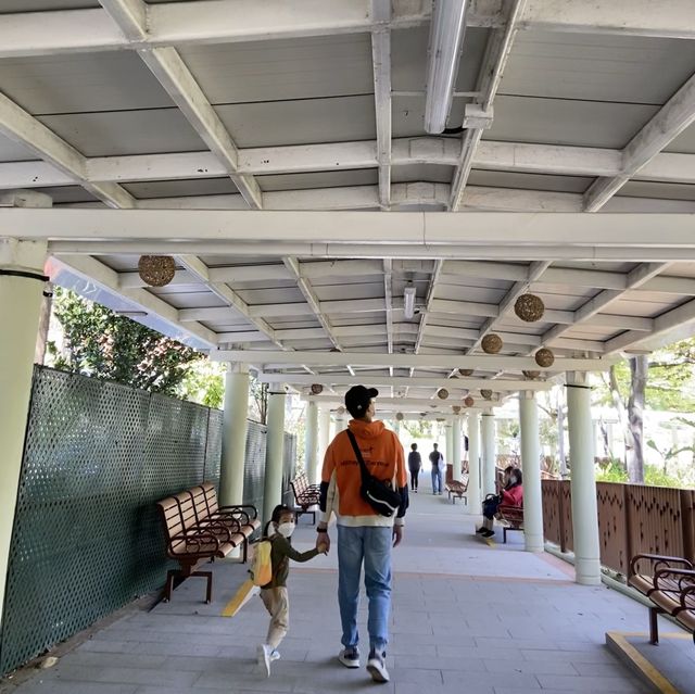 綠草如茵的花園 📍屯門