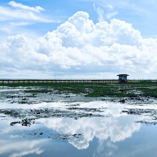 ทะเลน้อย