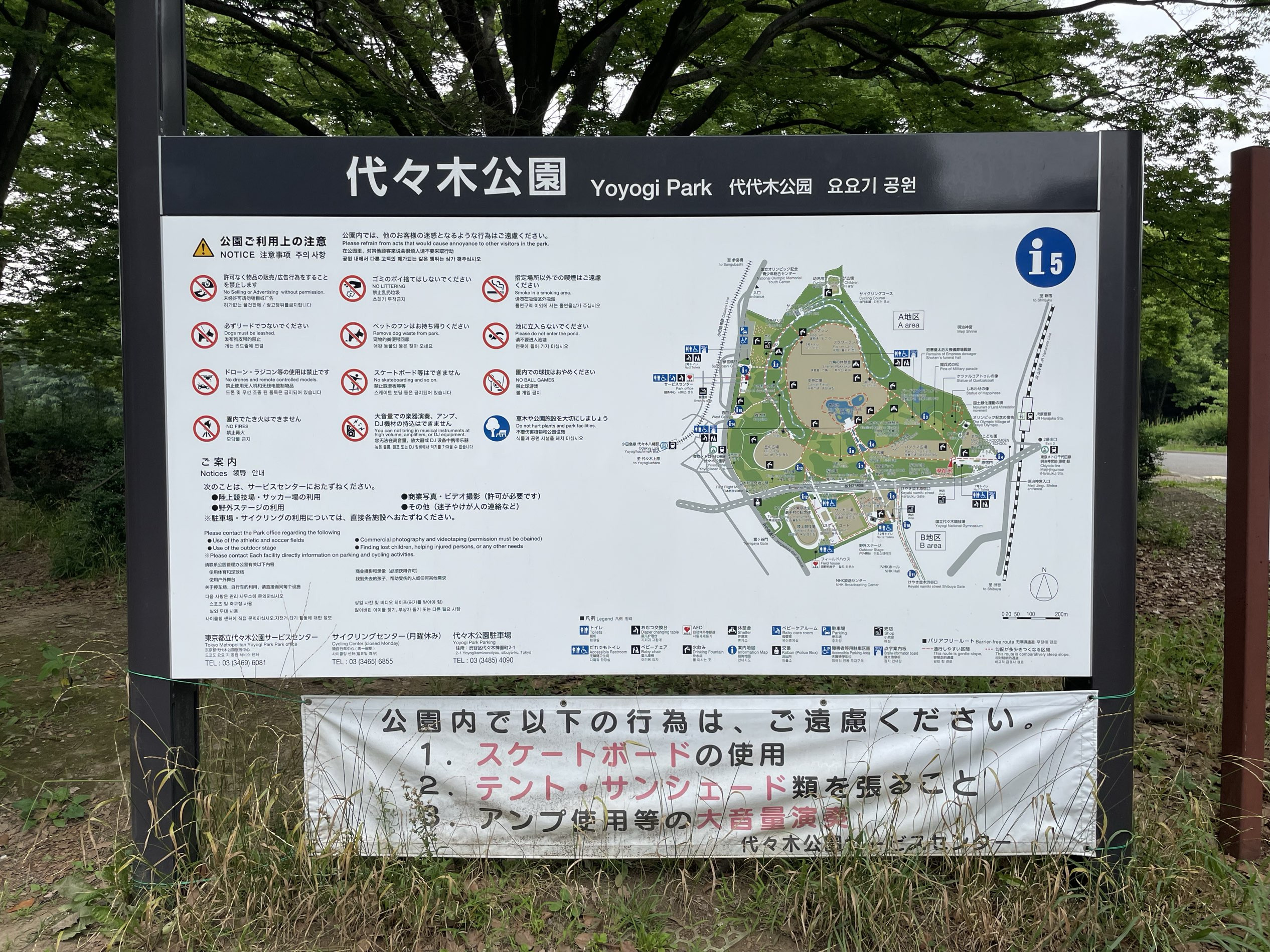 東京】公園と言えば代々木公園 | Trip.com 東京