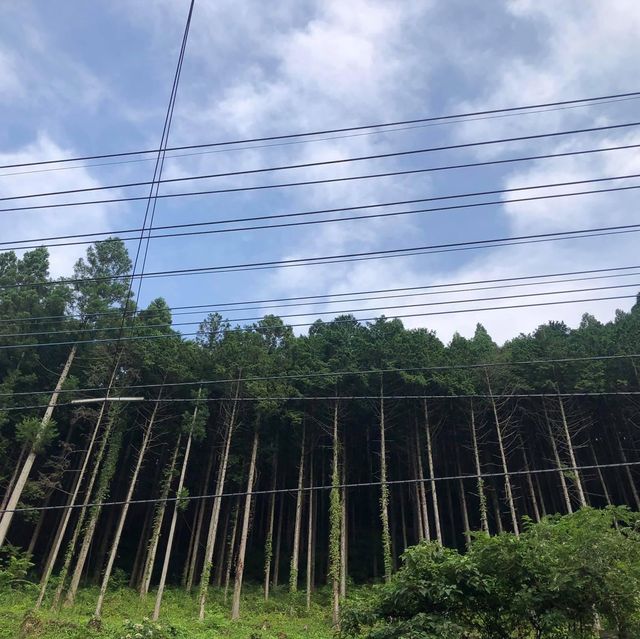 東京郊遊好去處➡️秋川溪谷🤩🤩