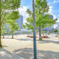 高島中央公園の遊具と紫陽花