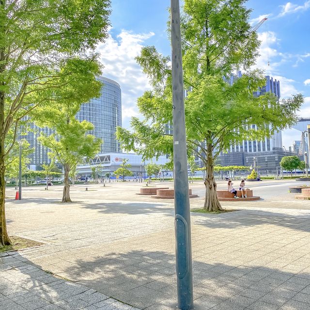 高島中央公園の遊具と紫陽花