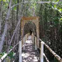Mangroove Eco-Park