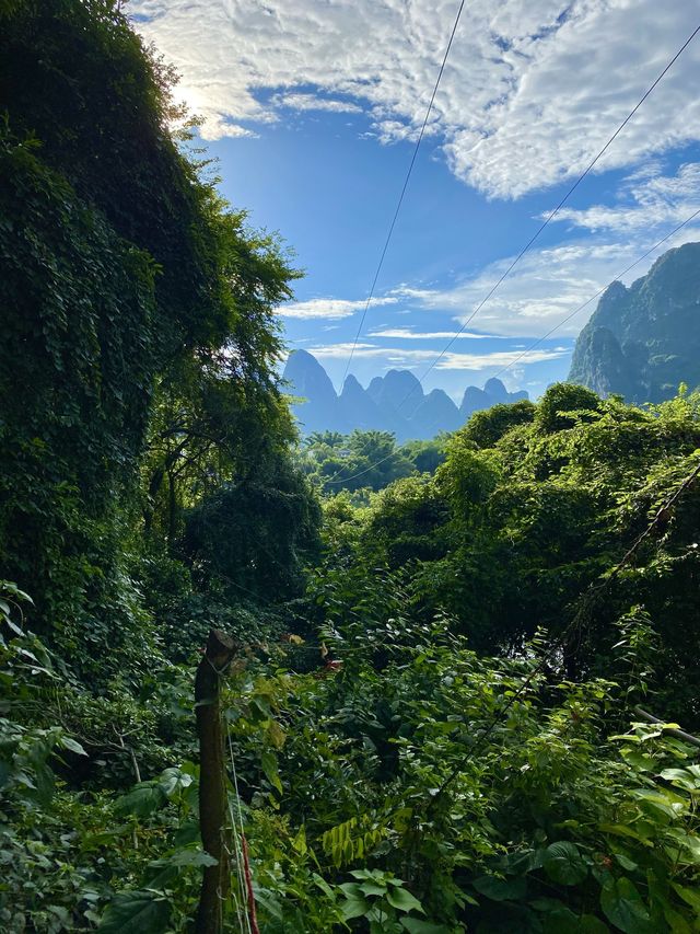 Laozhaishan mountain 💚