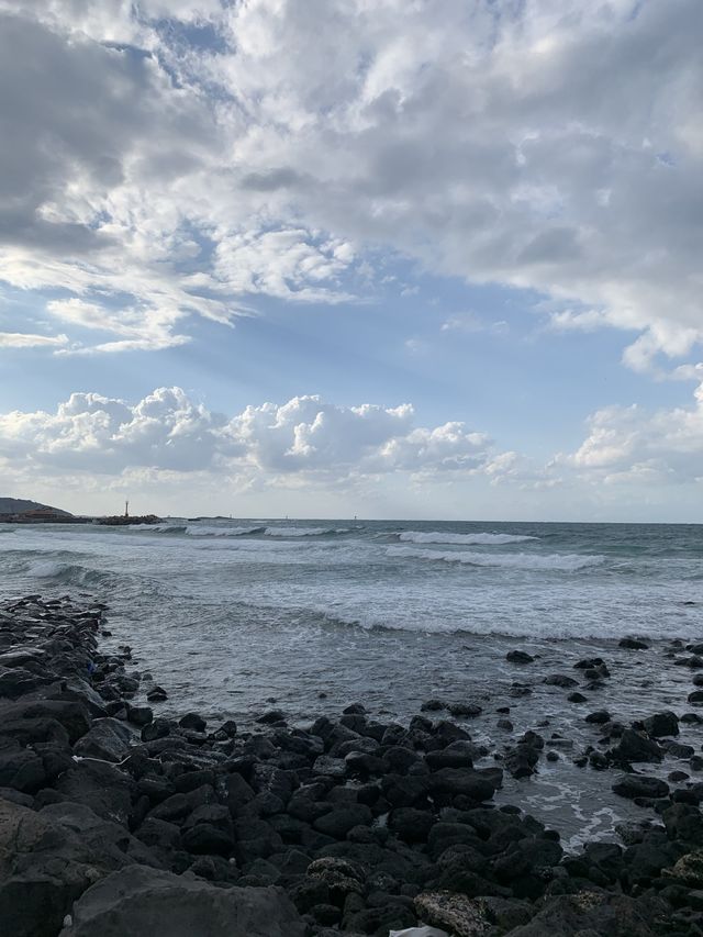 제주도 바다뷰 포장마차🐟🐠