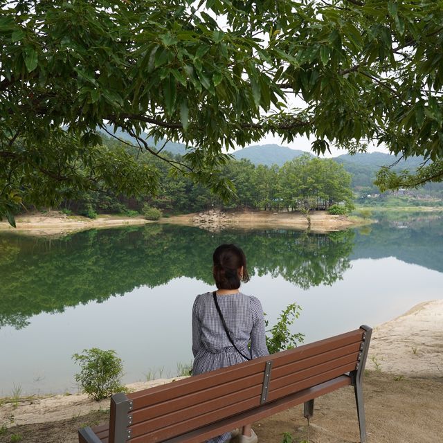 대청호 오백리길 운치있는 산책길🌳