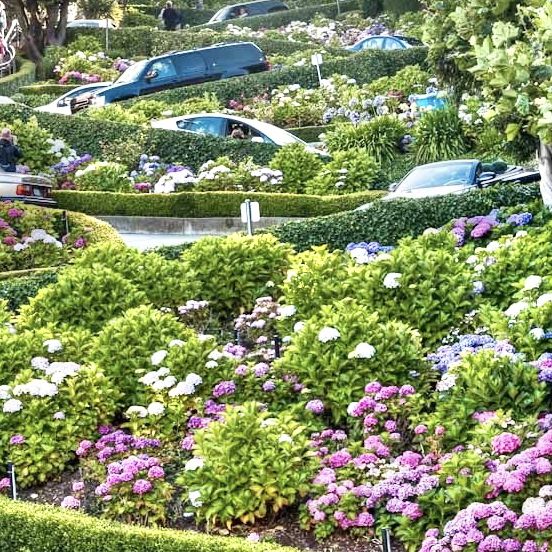 The Famous Lombard Street 