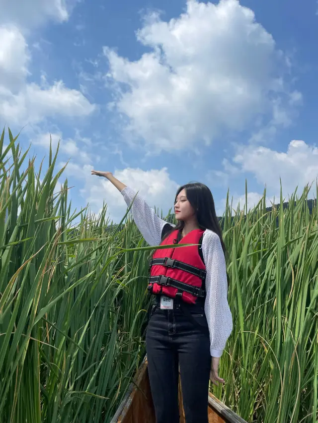 춘천의 베네치아 '킹카누 나루터'에서 🛶