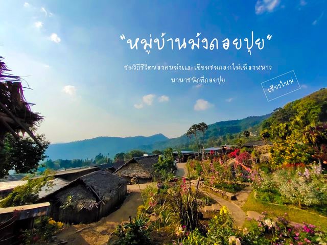ชมวัฒนธรรมคนม้งที่ดอยปุย