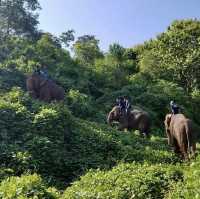 Visiting Elephants camp 