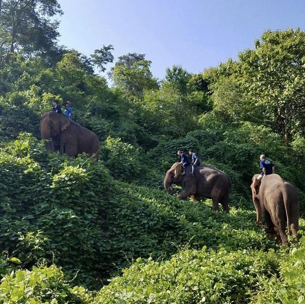 Visiting Elephants camp 