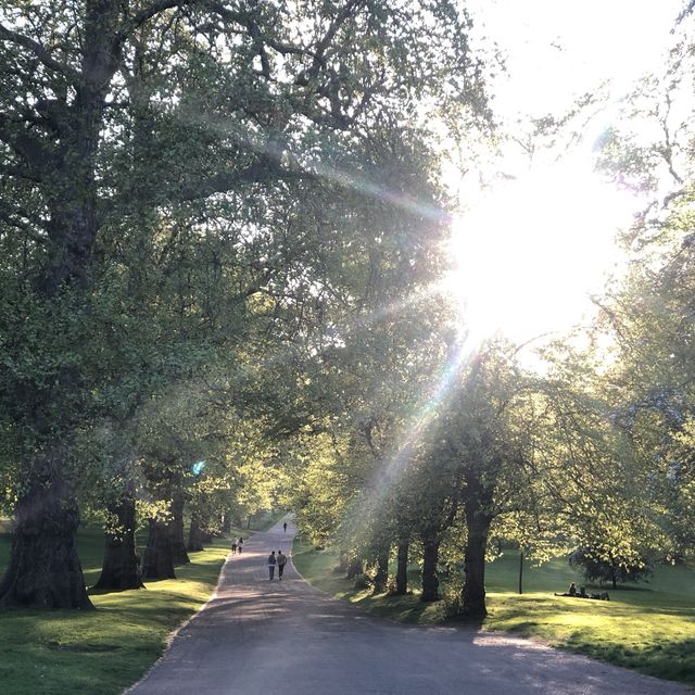 gorgeous setting and beautiful park 