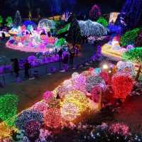 Illumination at Garden of Morning calm