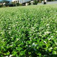 兵庫県！完全予約制の野菜たっぷりランチ