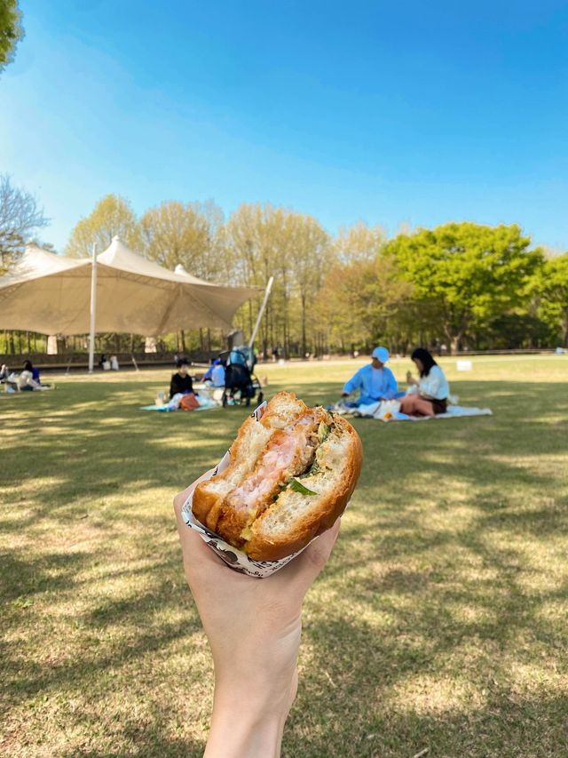 드넓은 잔디밭이 펼쳐져있는 이 곳! 서울숲을 소개합니다