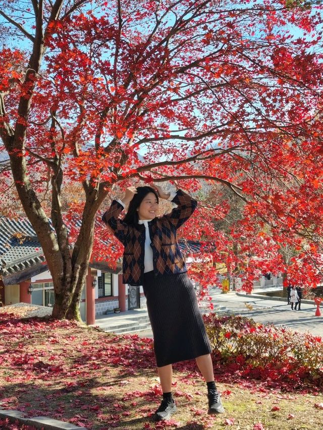단풍 가득한 제천 여행