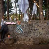 제주 “수목원길야시장”에서 즐기는 할로윈🎃
