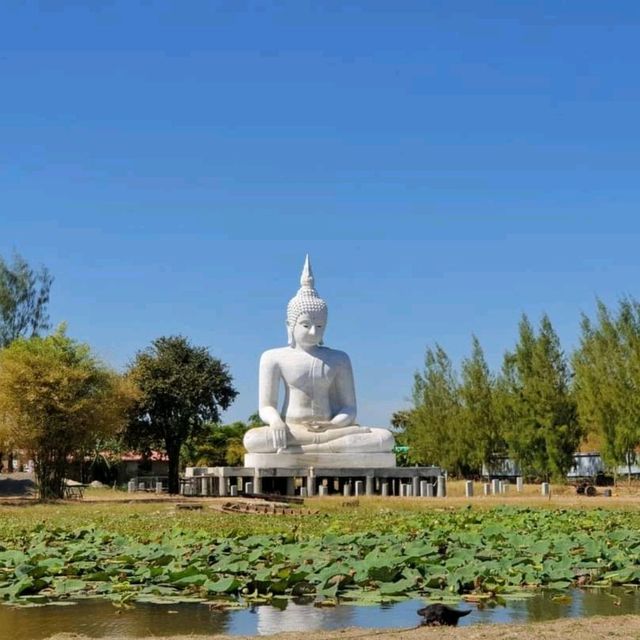 🌳ทำบุญ อิ่มพุง เพลินตา🌳 