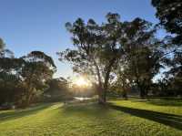 Northbridge! The Walkway! & Miss Maud!💞