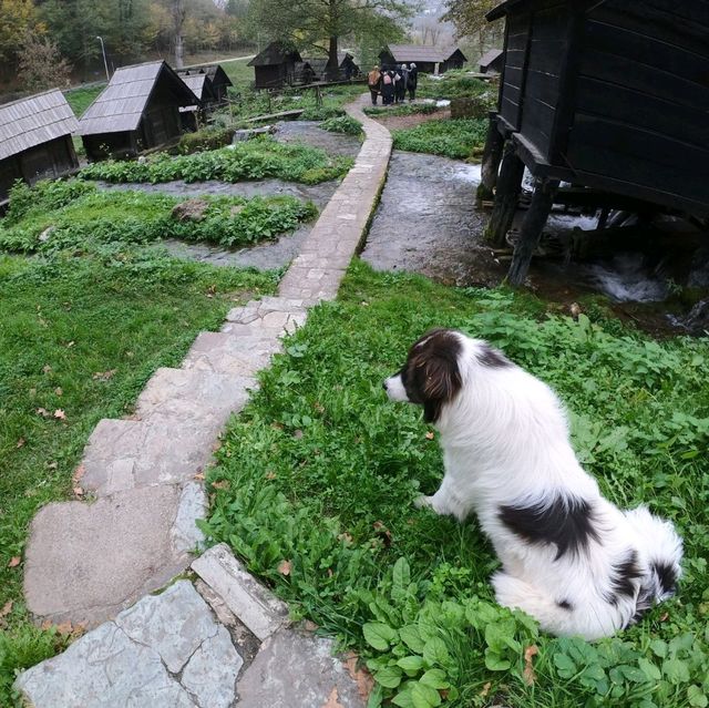 Small wooden unique watermill in the world!