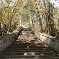 วัดถ้ำเอราวัณสิ่งที่คุณต้องห้ามพลาด