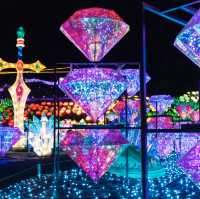 幻想的で煌びやかなイルミネーション✨✨