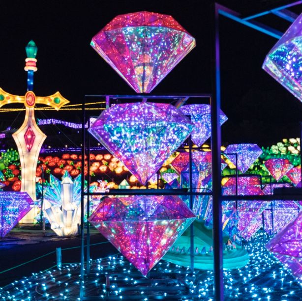 幻想的で煌びやかなイルミネーション✨✨