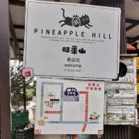 嘉義民雄免門票景點「旺萊山鳳梨文化園區」～漫步在700公頃的鳳梨田裡