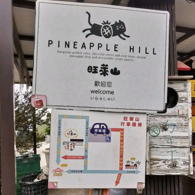 嘉義民雄免門票景點「旺萊山鳳梨文化園區」～漫步在700公頃的鳳梨田裡