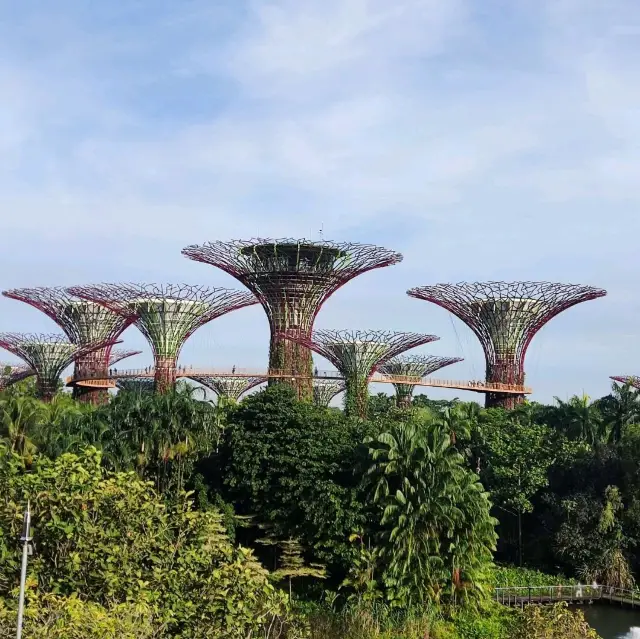 And OCBC SKYWAY