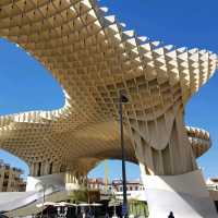 Mushrooms of Seville