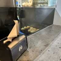 Fergburger in NZ 