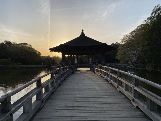 鷺池