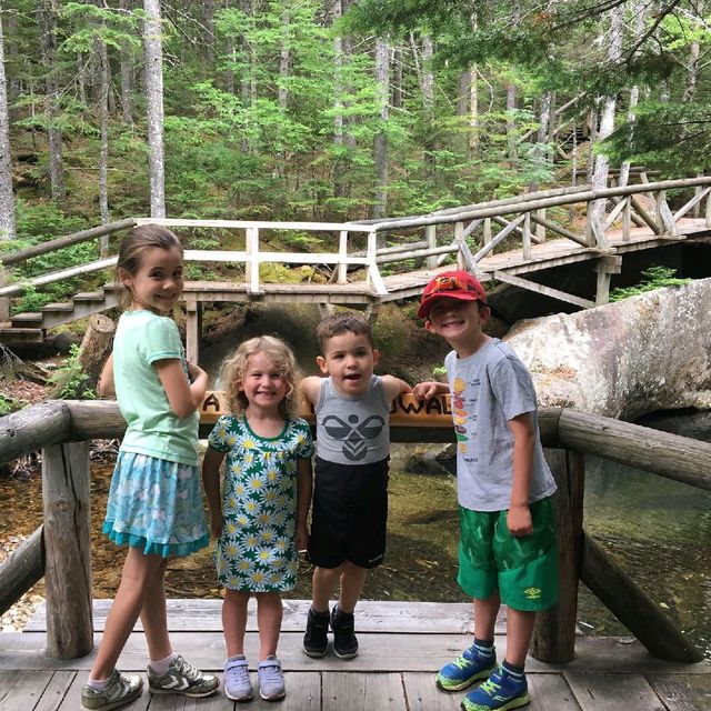 Lost River Gorge and Boulder Caves