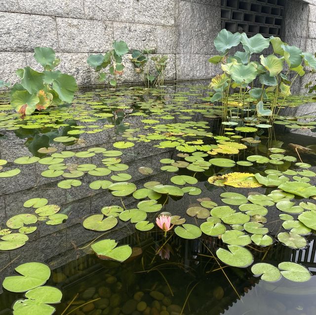 大埔慈山寺 — 身心靈靜之旅