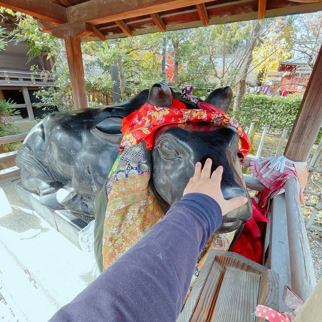 【紅葉巡り】京都ー北野天満宮