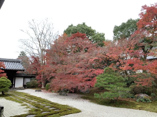 京都[紅葉めぐり] 南禅寺　天授庵- 枯山水庭園にて和む -
