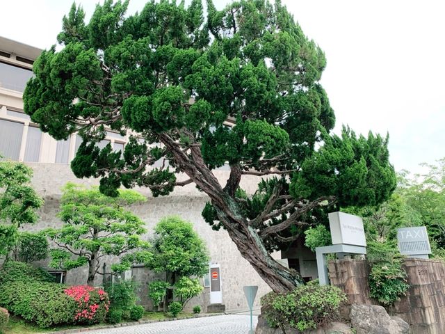 京都　ウェスティン都ホテル京都の豪華すぎる客室❗️