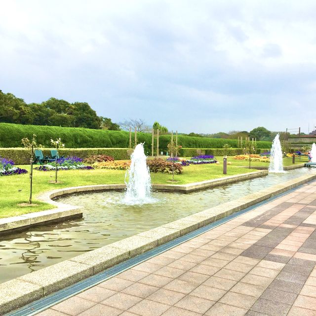 【福岡】海の中道海浜公園へ花を見に行こう🌷