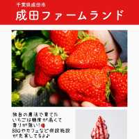 関東のいちご狩りスポットまとめ6選