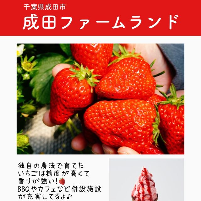 関東のいちご狩りスポットまとめ6選