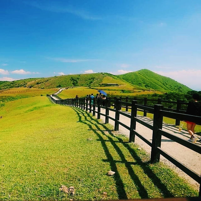 擎天崗中央步道