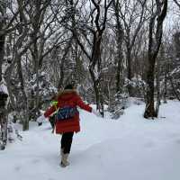 🏔미니 한라산, 어승생악에서 눈오리만들기❄️🐤