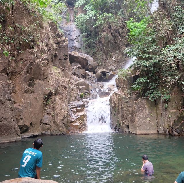 ไปดูปลาตัวใหญ่ที่น้ำตกพลิ้ว 🌿