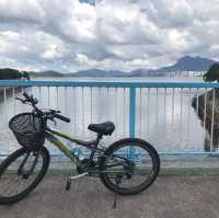 大圍至大埔單車一日遊