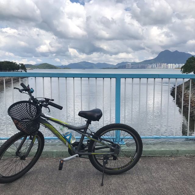 大圍至大埔單車一日遊